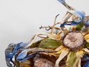 Blue Lotus 3-1.jpg