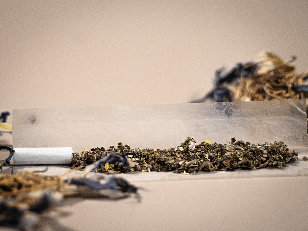 Herbes Mythiques 6.jpg