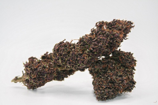 Purple Bio®