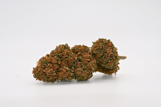 Gelato Bio®